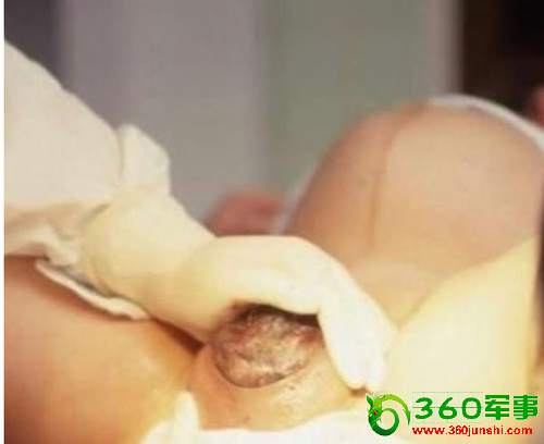 һ��ΰ��ĸ�׷�����̵���Ƭ�����������𺳡�������Ѫ���ܵľ�ͷչʾ����ң����������Ż�˭����ӱ������۰����ĸ�ס����ӡ�